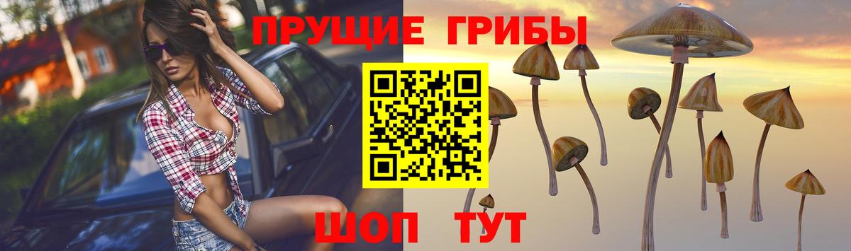 Псилоцибиновые грибы прущие грибы  Вход с VPN  наркота  Таганрог 